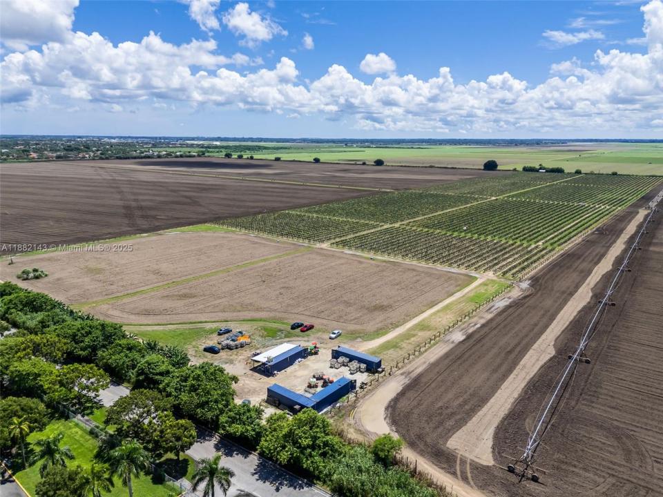 SW MIAMI-DADE, Miami, פלורידה 33196, ארצות הברית של אמריקה 