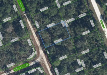 1131 BUTTERNUT RD, Lake Placid, Floride 33852, États-Unis