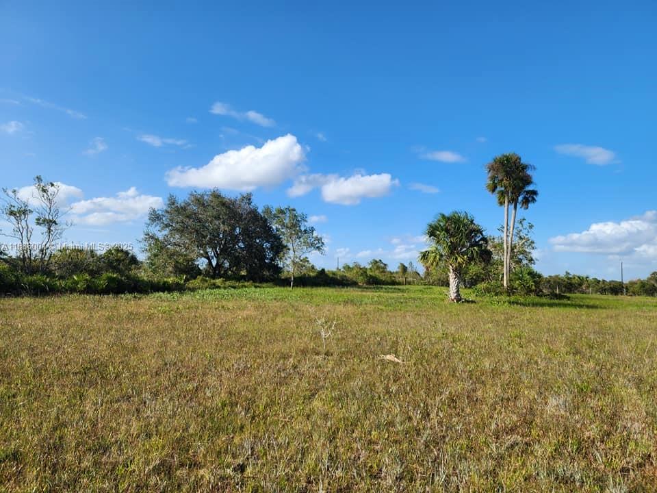 18717 NW 258 st, Okeechobee, Florida 34972