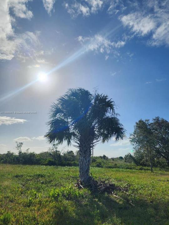 18717 NW 258 st, Okeechobee, Florida 34972