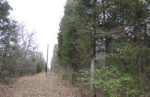 County Road 4455, ポイント, テキサス 75472, アメリカ合衆国