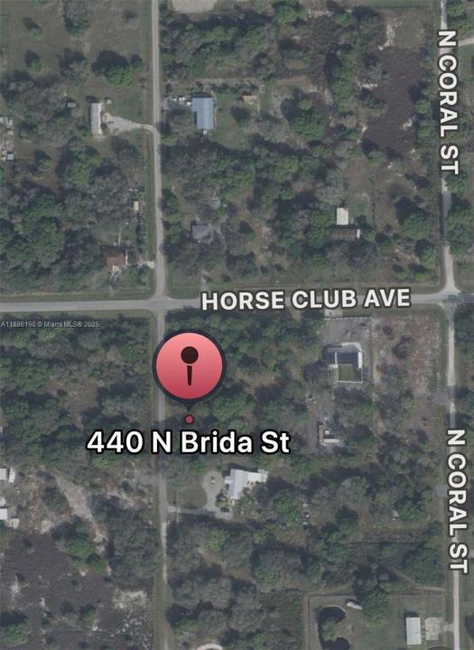 440 N BRIDA ST, Other City - In The State Of Florida, 佛羅里達州 33440, 美國