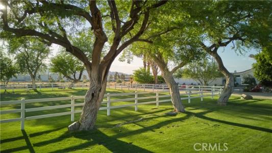 Avenue 50, Indio, 加利福尼亚州 92201, 美国