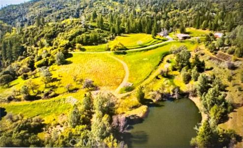 Pennsylvania Gulch Road, Murphys, קליפורניה 95247, ארצות הברית של אמריקה 