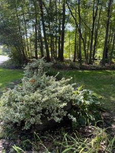 Anthony Drive, Cranston, Rhode Island 02921, Estados Unidos