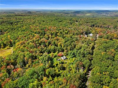 1212 Southbridge Road, Warren, Massachusetts 01083, Amerika Birleşik Devletleri