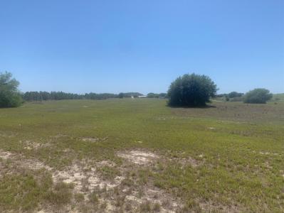Libby Road, Bap64, Babson Park, Florida 33827, USA