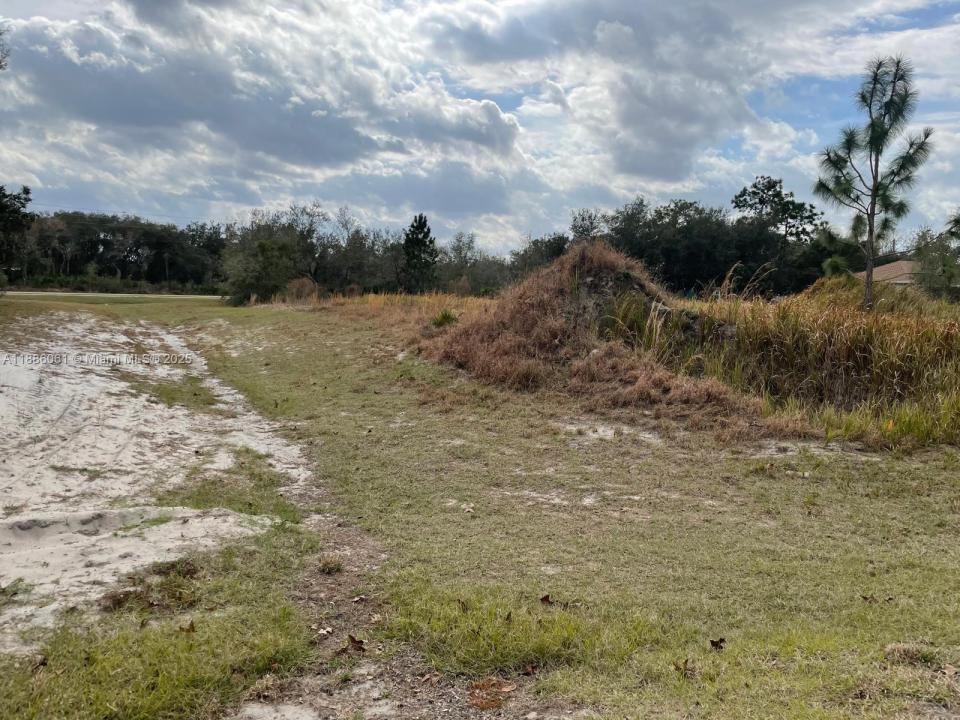 531 ST JOHNS CT, Other City - In The State Of Florida, 플로리다 34759, 미국