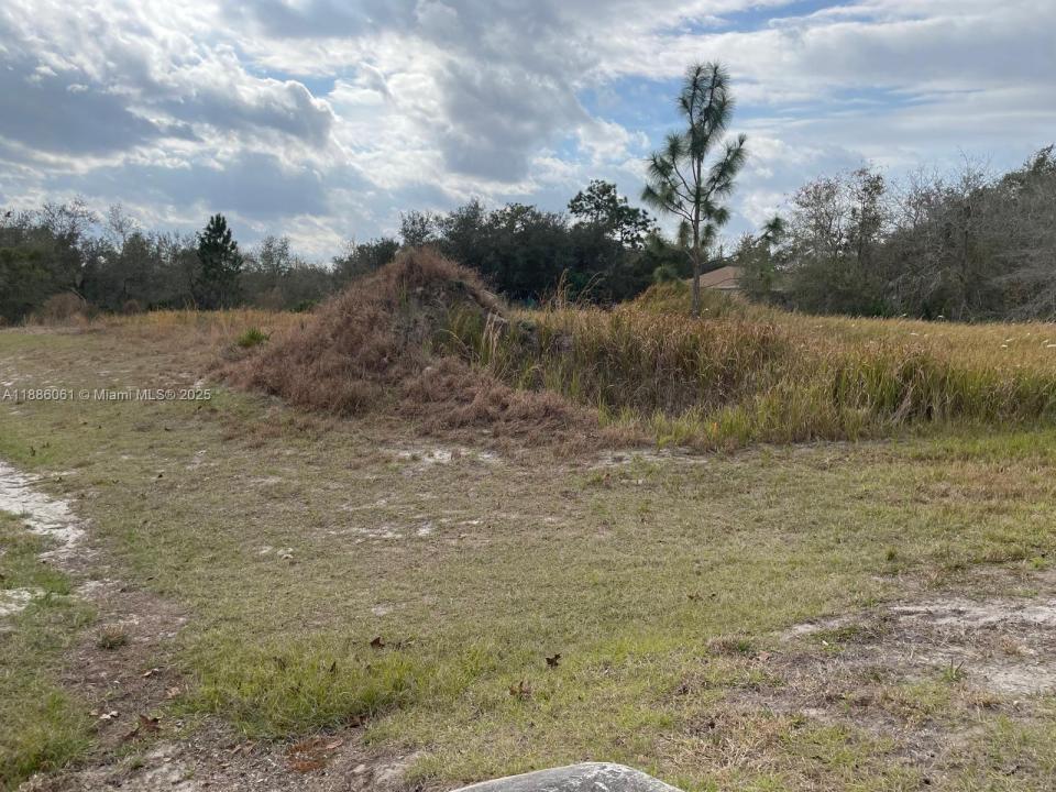 531 ST JOHNS CT, Other City - In The State Of Florida, 플로리다 34759, 미국