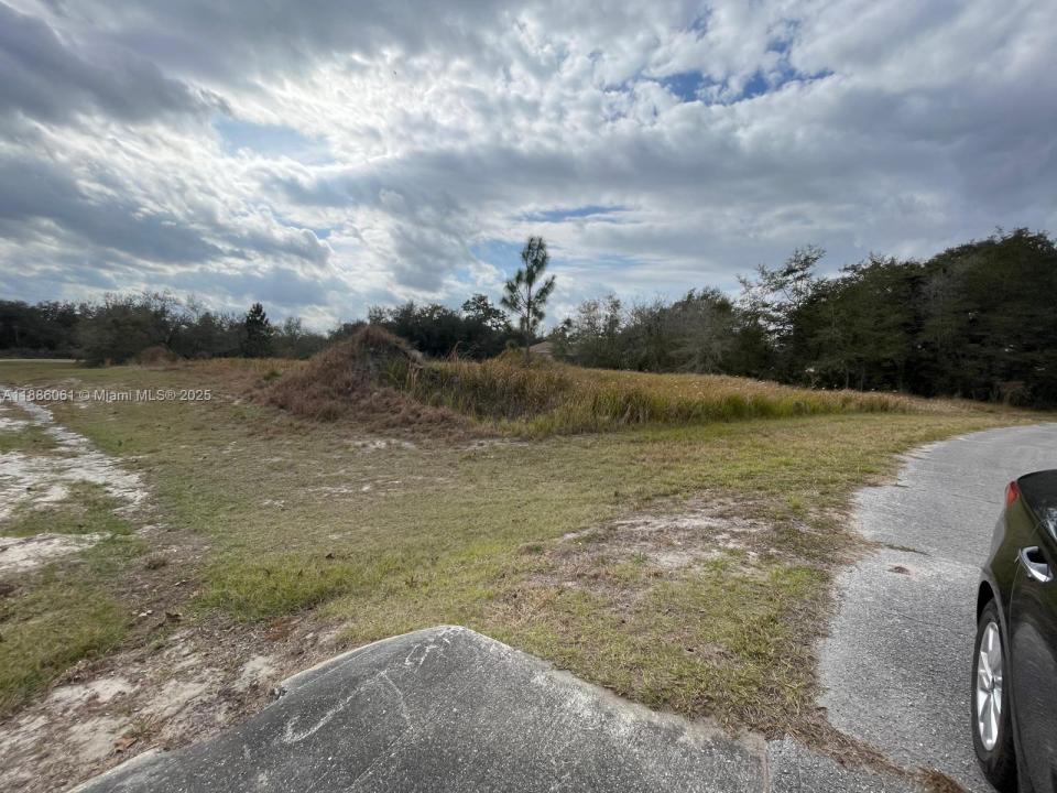 531 ST JOHNS CT, Other City - In The State Of Florida, 플로리다 34759, 미국