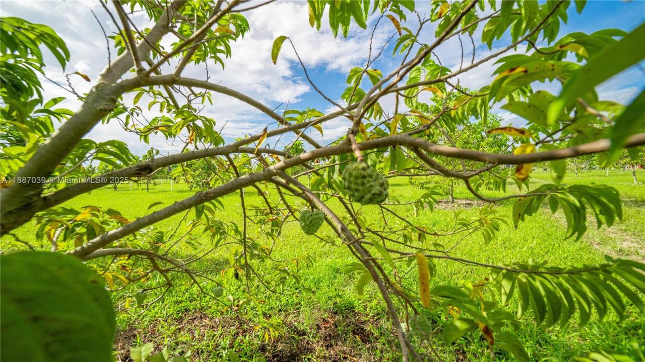 Unincorporated County, Miami, FL, Miami, Florida 33187, Amerika Birleşik Devletleri