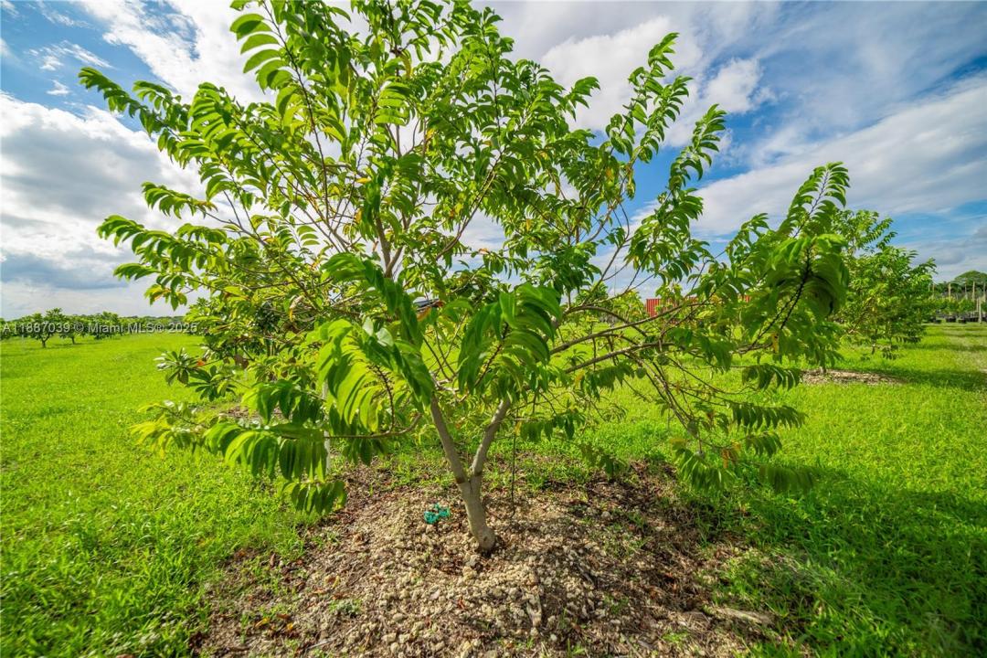 Unincorporated County, Miami, FL, Miami, Florida 33187, Amerika Birleşik Devletleri