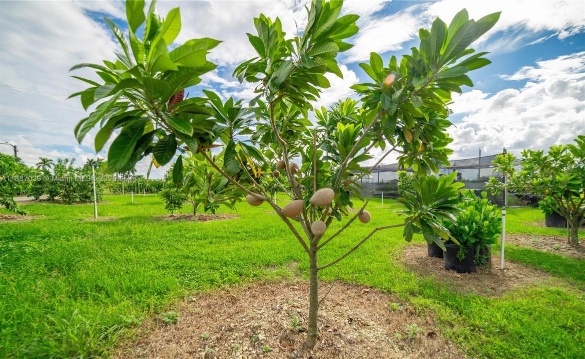 Unincorporated County, Miami, FL, Miami, Florida 33187, Amerika Birleşik Devletleri