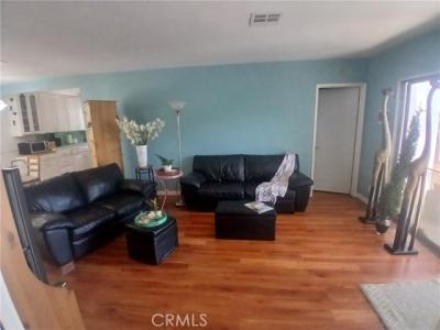 Wilbur Avenue, Reseda, 캘리포니아 91335, 미국