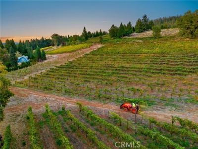 Larsen, Camino, California 95709, HOA KỲ