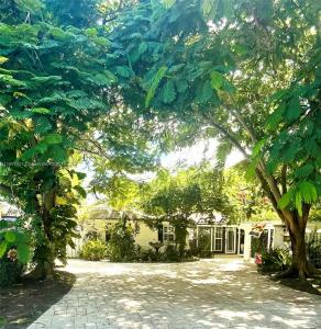 500 NE 27th Dr 0, Wilton Manors, פלורידה 33334, ארצות הברית של אמריקה 