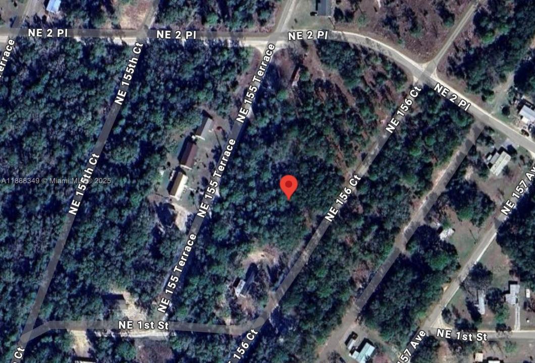 Lot 4 NE 156th Ct, Williston, フロリダ 32696, アメリカ合衆国