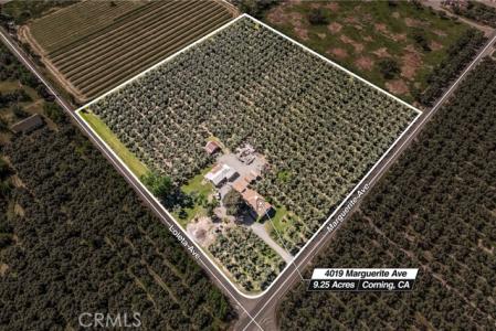 Marguerite Avenue, Corning, Califórnia 96021, Estados Unidos
