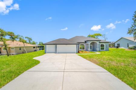 5317 Lydia, Spring Hill, Florida 34608, USA