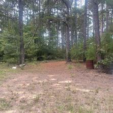 205 County Road 2880, Mineola, 得克萨斯州 75773, 美国