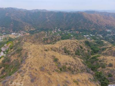 Calle Bella, Glendale, California 91206, Estados Unidos