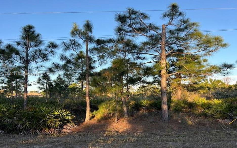 676 Sabrina Ct, Lehigh Acres, Florida 33972, USA