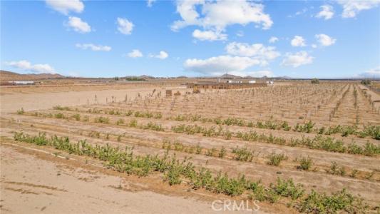 Sierra Hwy, Mojave, 캘리포니아 93501, 미국