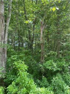 Twin River Road, Lincoln, Rhode Island 02865, États-Unis