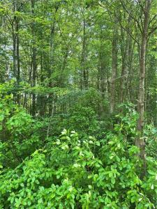 Twin River Road, Lincoln, Rhode Island 02865, États-Unis