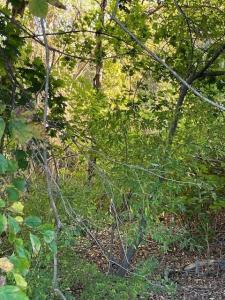 Liberty Lane, South Kingstown, Rhode Island 02879, USA