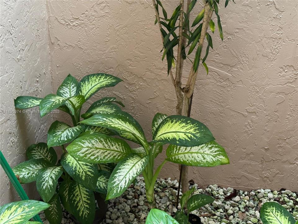 8204 Summerbreeze Ln, Boca Raton, Florida 33496, Estados Unidos