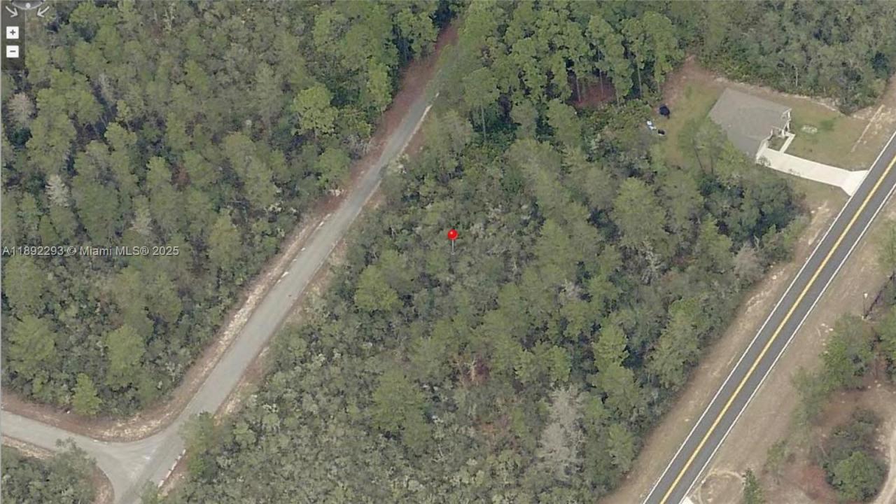 9036-1175-07 0, Ocala, Floryda 32179, USA