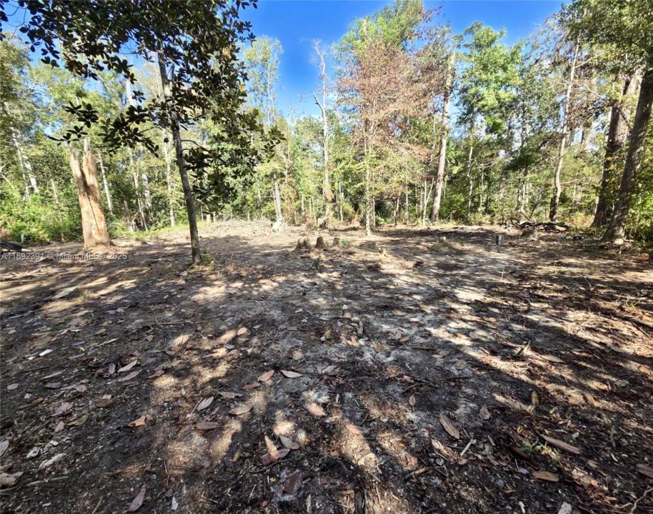 120 Darwin PL, Other City - In The State Of Florida, Florida 32351