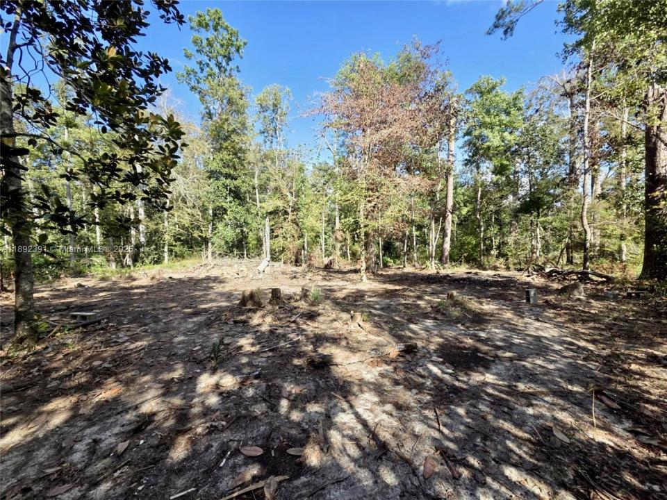 120 Darwin PL, Other City - In The State Of Florida, Florida 32351