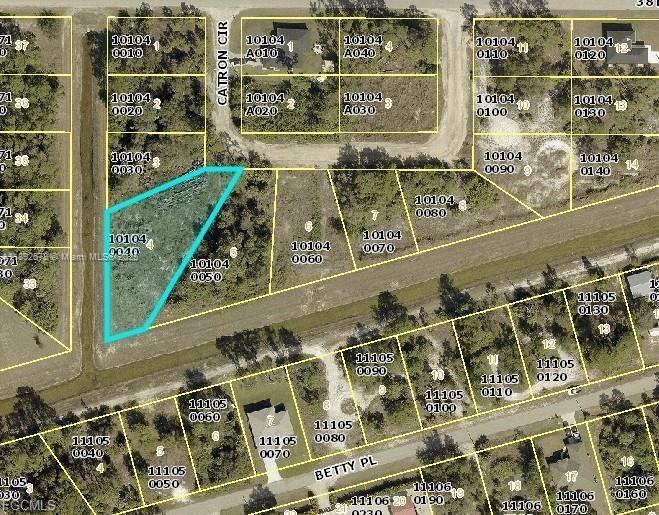 2525 Catron cir, Lehigh Acres, Florida 33971, Estados Unidos
