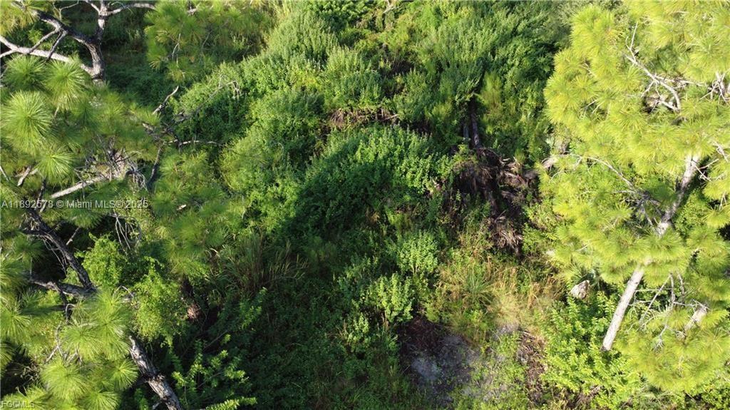 2525 Catron cir, Lehigh Acres, Florida 33971, Estados Unidos