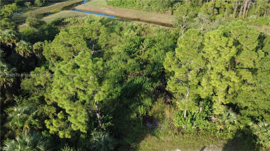 2525 Catron cir, Lehigh Acres, Florida 33971, Estados Unidos