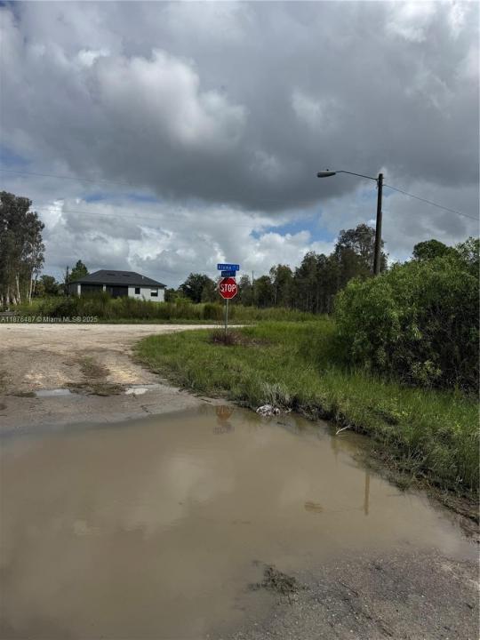 1005 PORTLAND, Lehigh Acres, Florida 33974, Amerika Birleşik Devletleri