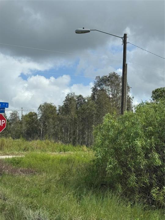 1005 PORTLAND, Lehigh Acres, Florida 33974, Amerika Birleşik Devletleri
