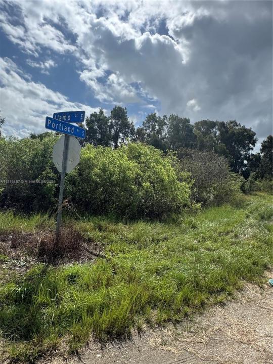 1005 PORTLAND, Lehigh Acres, Florida 33974, Amerika Birleşik Devletleri