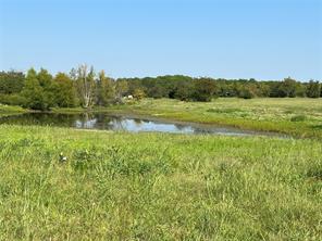 County Road 4145, Cooper, Texas 75432, États-Unis