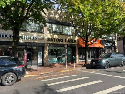 39 Great Neck Road, North Hempstead, New York 11021, Amerika Birleşik Devletleri