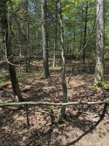 Douglas Pike, North Smithfield, Rhode Island 02896, Estados Unidos