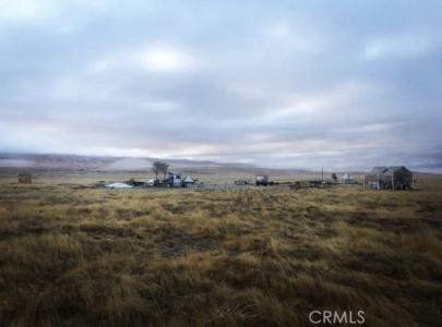 Mile Rd, California Valley, 加州 93453, 美國