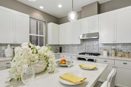 Odyssey Lane, Milpitas, كاليفورنيا 95035, الولايات المتحدة