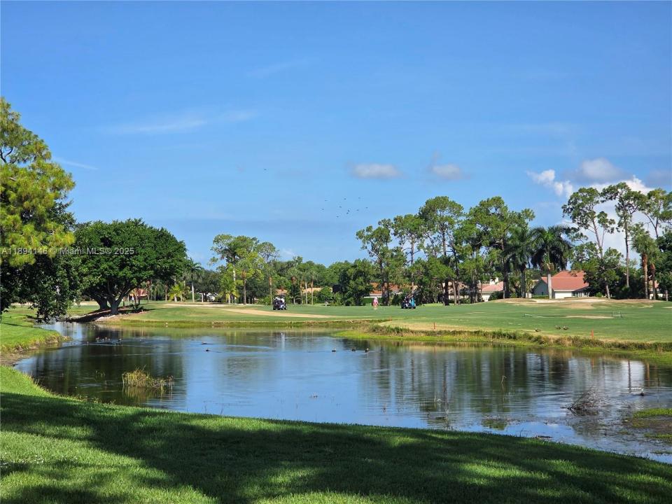 575 Augusta Boulevard 8, Naples, 佛罗里达州 34113, 美国