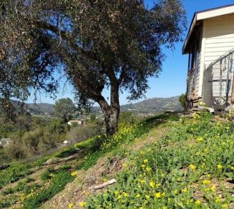 Richland Rd, San Marcos, Califórnia 92069, Estados Unidos