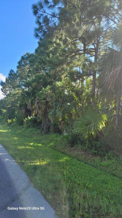 3832 SW Janiga Street, Port Saint Lucie, Florida 34953, Estados Unidos