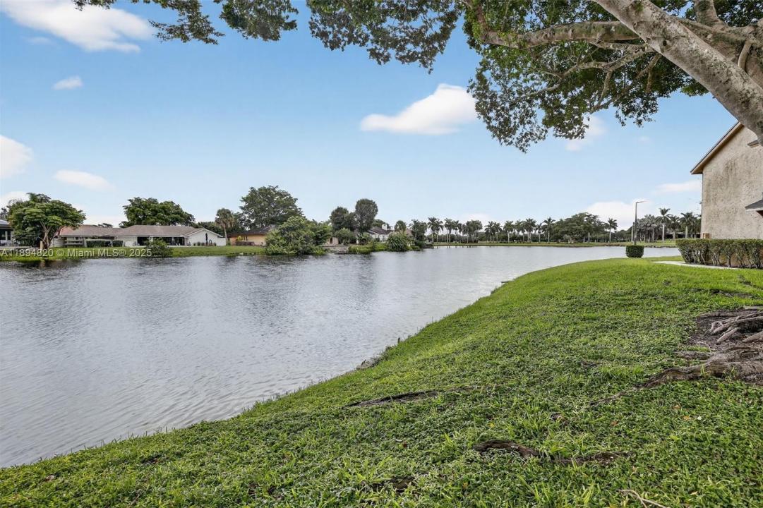 247 Wimbledon Lake Dr 247, Plantation, פלורידה 33324, ארצות הברית של אמריקה