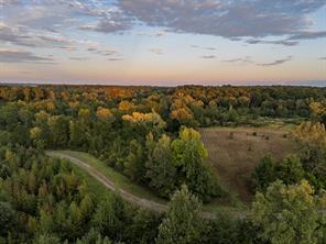 FM 1998, Karnack, Texas 75661